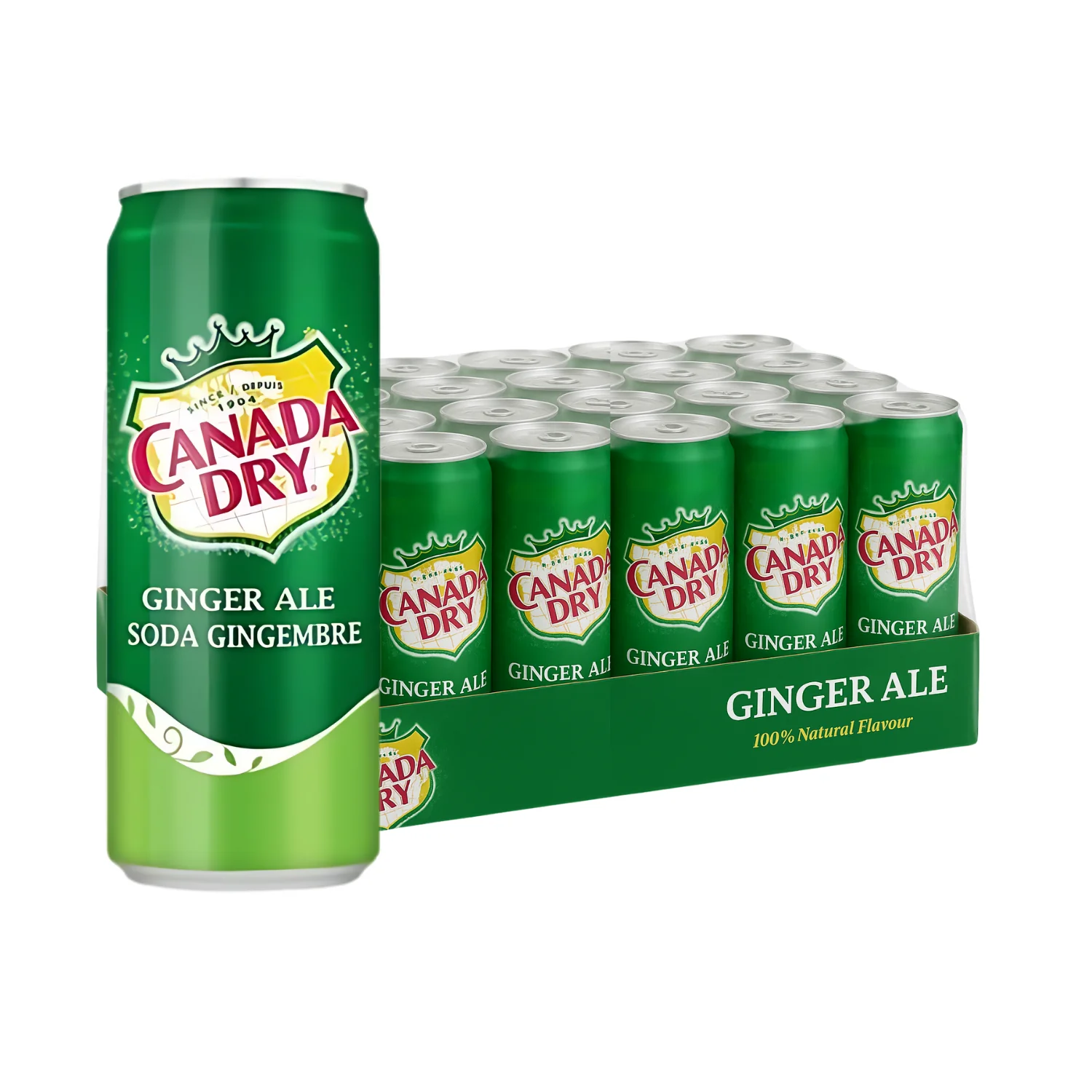 Canada Dry Ginger Ale 330Ml Can – Refreshing Ginger Soda