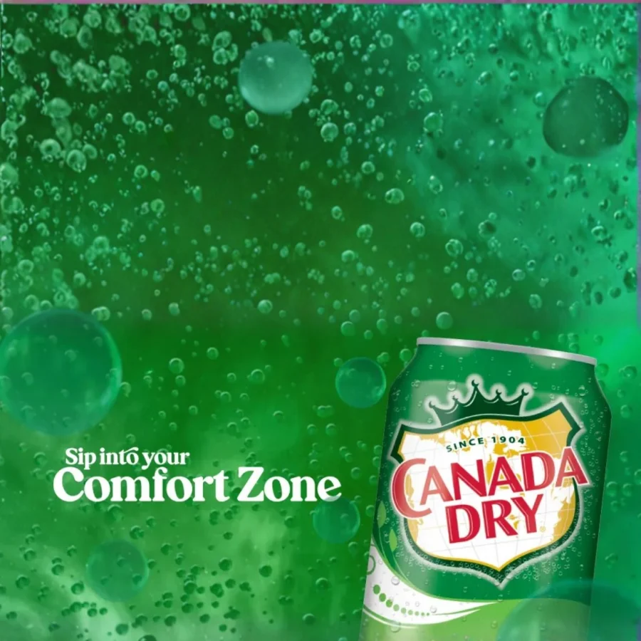 Canada Dry Ginger Ale 330Ml Can – Refreshing Ginger Soda thumbnail 3