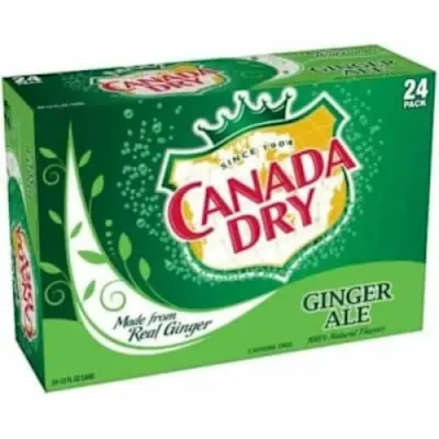 Canada Dry Ginger Ale 330Ml Can – Refreshing Ginger Soda thumbnail 2