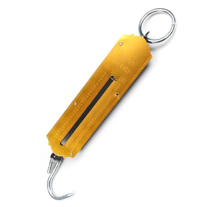 Spring Balance Hook Weighing Scale (Kilo & Lbs)