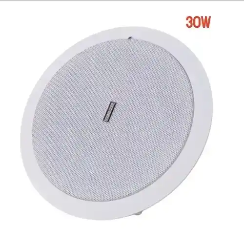 30W Flush-Mount Commercial Ceiling Speaker