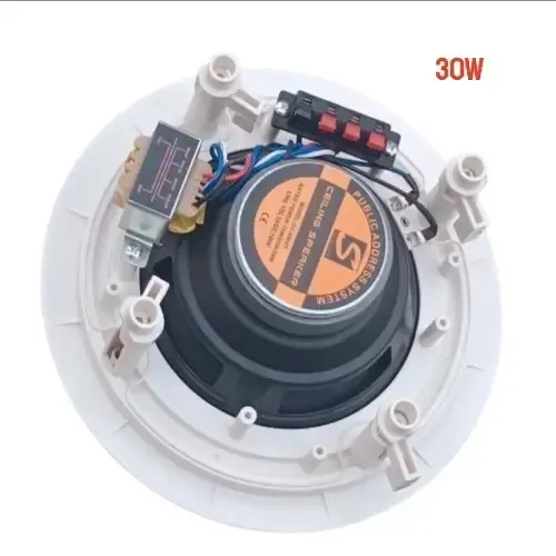 30W Flush-Mount Commercial Ceiling Speaker thumbnail 2